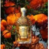 Aqua Allegoria Forte Mandarine Basilic - Eau de Parfum